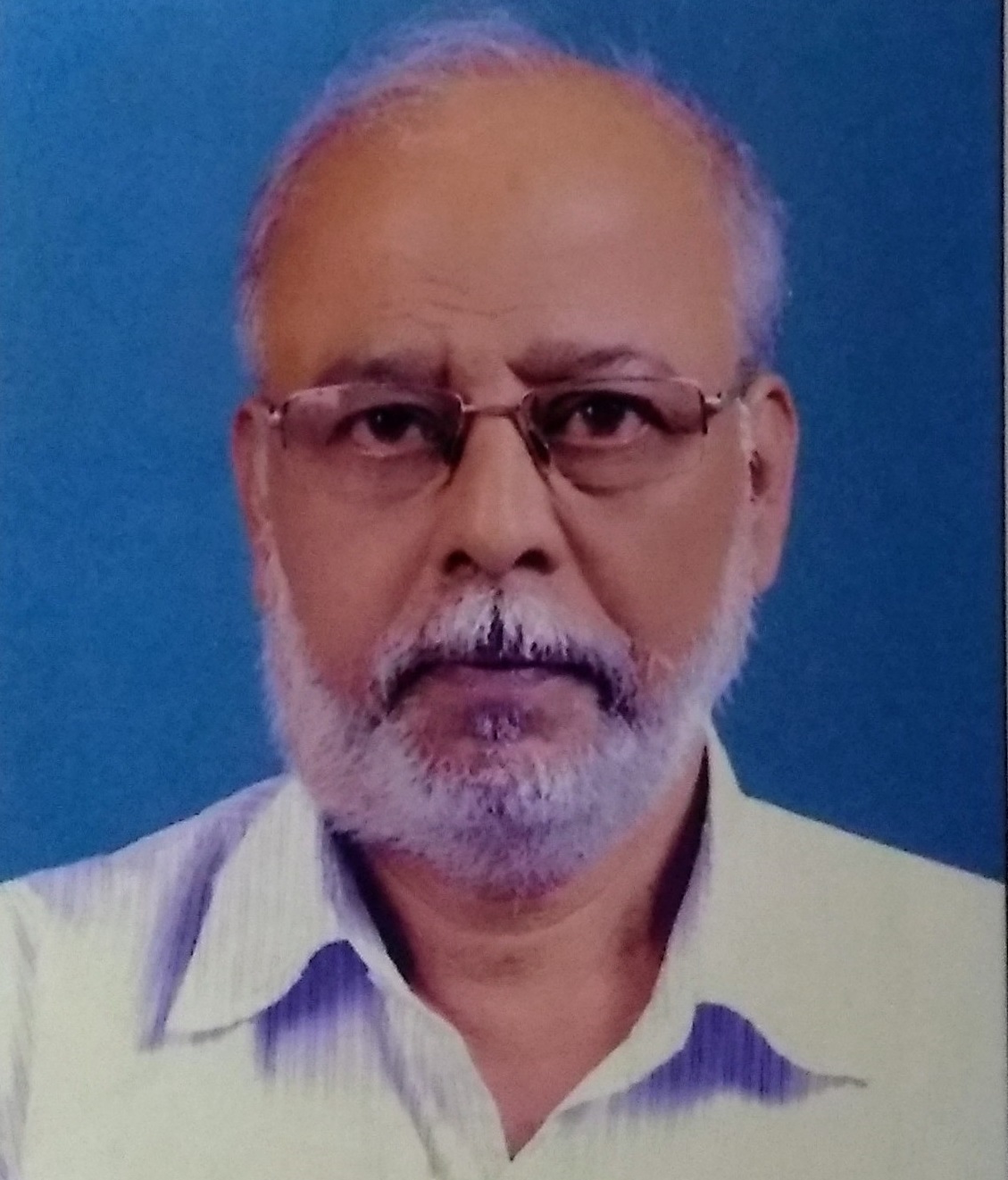 Prof. Pathik Mandal